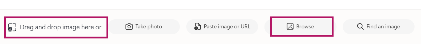 Bing Visual Search File upload options