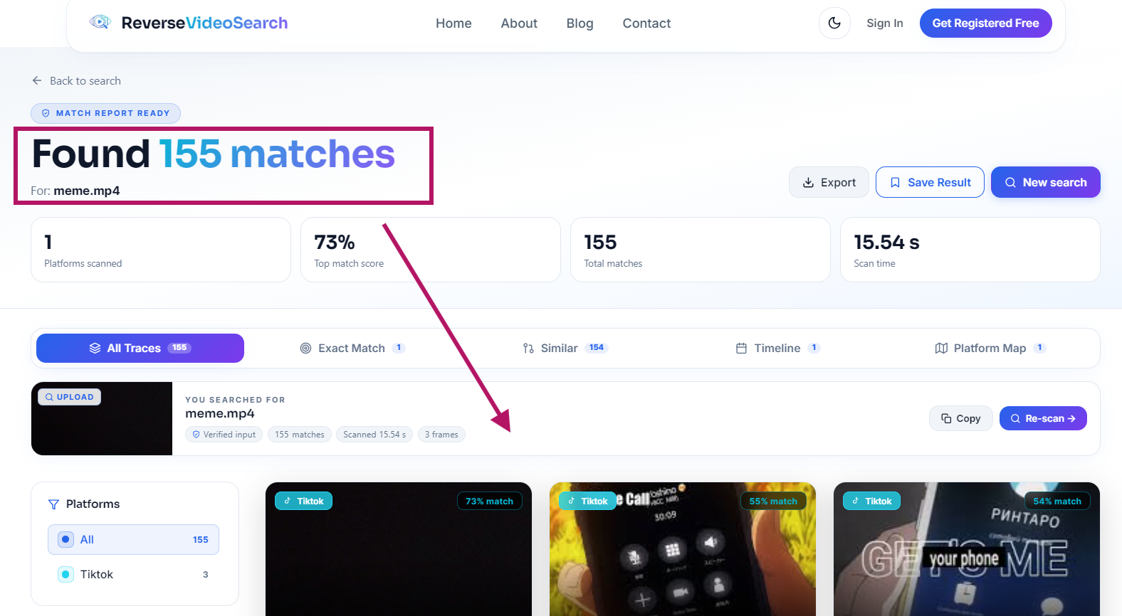 Reverse Video Search result page
